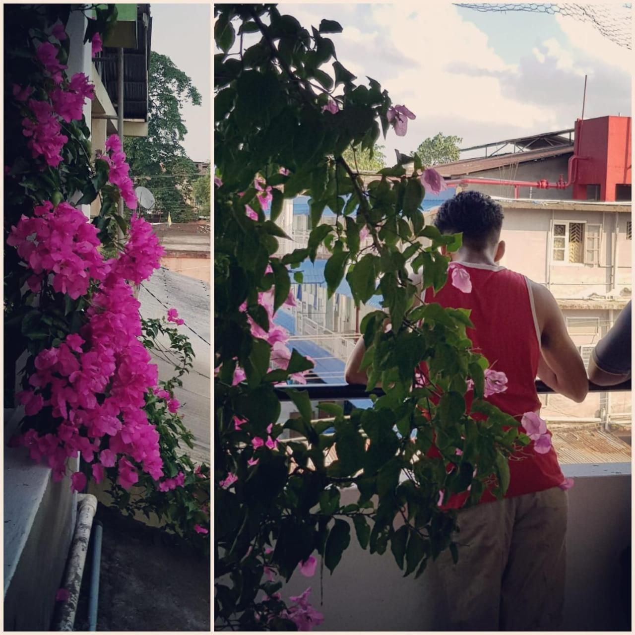 Bhaskar Homestay Dibrugarh Eksteriør bilde